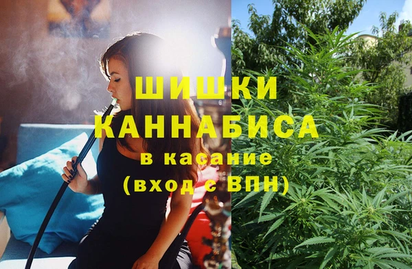 ECSTASY Магадан