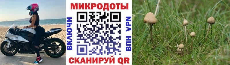 Псилоцибиновые грибы мухоморы  Купить закладки  Андреаполь 